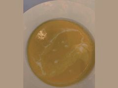 -荆州南国温德姆酒店·高田餐厅