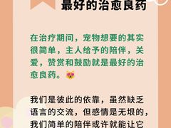 -曼朗心理咨询·旗舰店