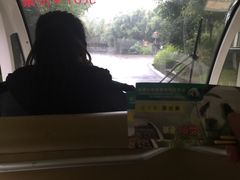 -成都大熊猫繁育研究基地
