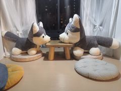 -Husky Go! 哈士奇体验馆·宠物咖啡厅狗咖