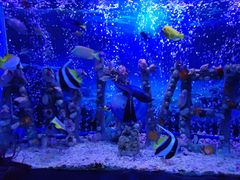 -太平洋海底世界