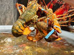 -铭门盛宴·艺术海鲜姿造(福田黑金店)