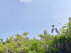 -华道钰善阁