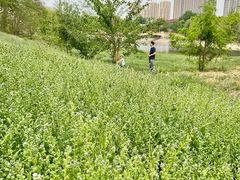 -北运河水利风景区