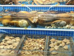-板桥海鲜广场(文明东店)