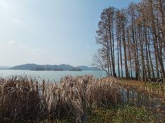 -东湖落雁景区