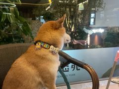 -生态苑农庄(十里画廊遇龙河店)