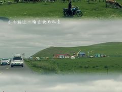 -呼伦贝尔大草原