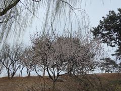 -北京西山国家森林公园