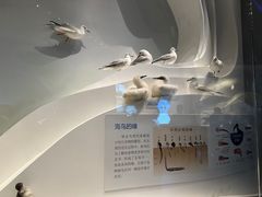 -贝林大翅鲸简餐厅(国家海洋博物馆店)