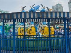 -海合安成都极地海洋公园