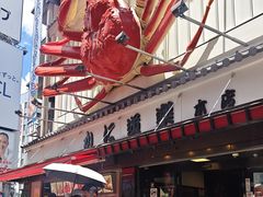 -蟹道乐(道顿堀本店)