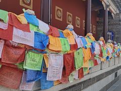 -大召无量寺