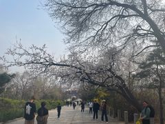 -府君山公园
