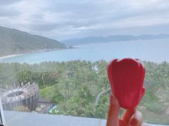 -三亚太阳湾柏悦酒店