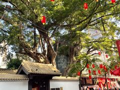 -越秀西湖花市(广州城市广场花卉店)