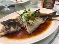 -渔民新村(番禺总店)