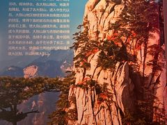 -安徽省地质博物馆