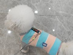 -艾贝尔宠物医院·宠保定点·超声绝育·免疫点(樱花路店)
