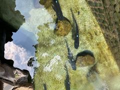 -耕渔小院·湖南鱼鲜(望城店)