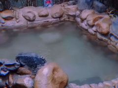 -深业半汤御泉庄温泉