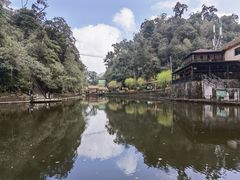 -云南屏边大围山国家公园