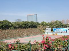 -观澜湖生态运动公社