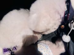 -天津美亚HeyLED影城(天津水游城店)