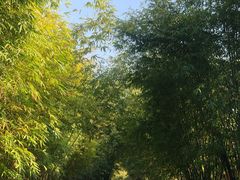-崇阳三特浪口温泉