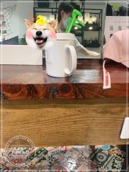 -米莱 Hair Salon 美髮