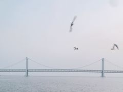 -星海湾跨海大桥