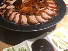 -守柴炉烤鸭(科华中路王府井店)