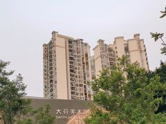 -大芬美术馆