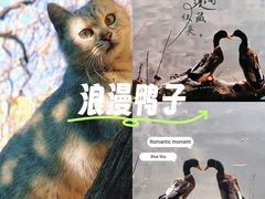 -郑和公园