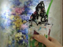 -Salud撒露欧洲冻酸奶(798艺术区店)