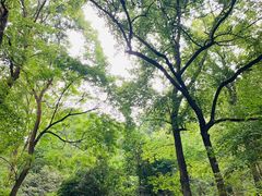 -岳麓山风景名胜区