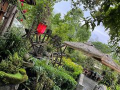 -青城甲(青城山店)