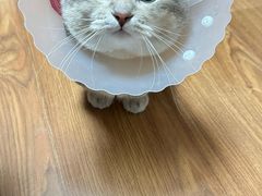 -美联众合动物医院·24h京西诊疗中心