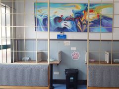 -伟伟宠物医院·瑞派猫友好医院·猫科(光谷店)