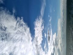 -海安新港(公交站)