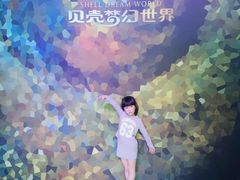 -贝壳梦幻世界