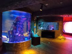 -沈阳海洋探索中心