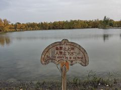 -金塔沙漠胡杨林景区