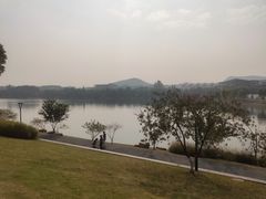 -羊山湖公园