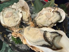-牛New寿喜烧(金鹰世界店)