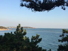 -青岛海尔洲际酒店