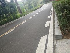 -大屏嶂森林公园