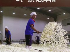 -北京张一元茶庄(黑龙江省旗舰店)