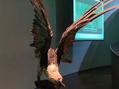 -陕西自然博物馆