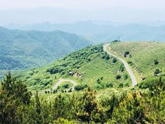 -阳台山自然风景区